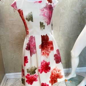 NWT Calvin Klein Cap Sleeve Dress with Hidden Zipper